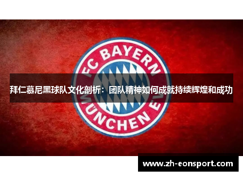 拜仁慕尼黑球队文化剖析：团队精神如何成就持续辉煌和成功