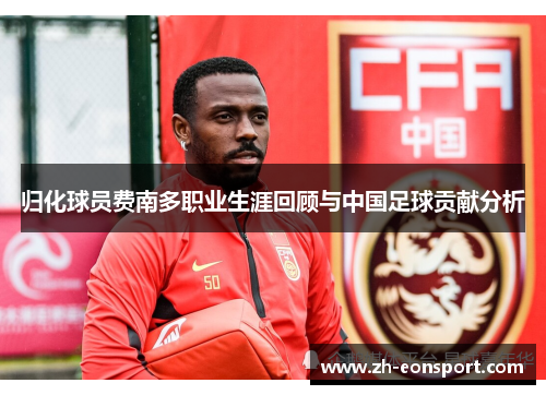归化球员费南多职业生涯回顾与中国足球贡献分析